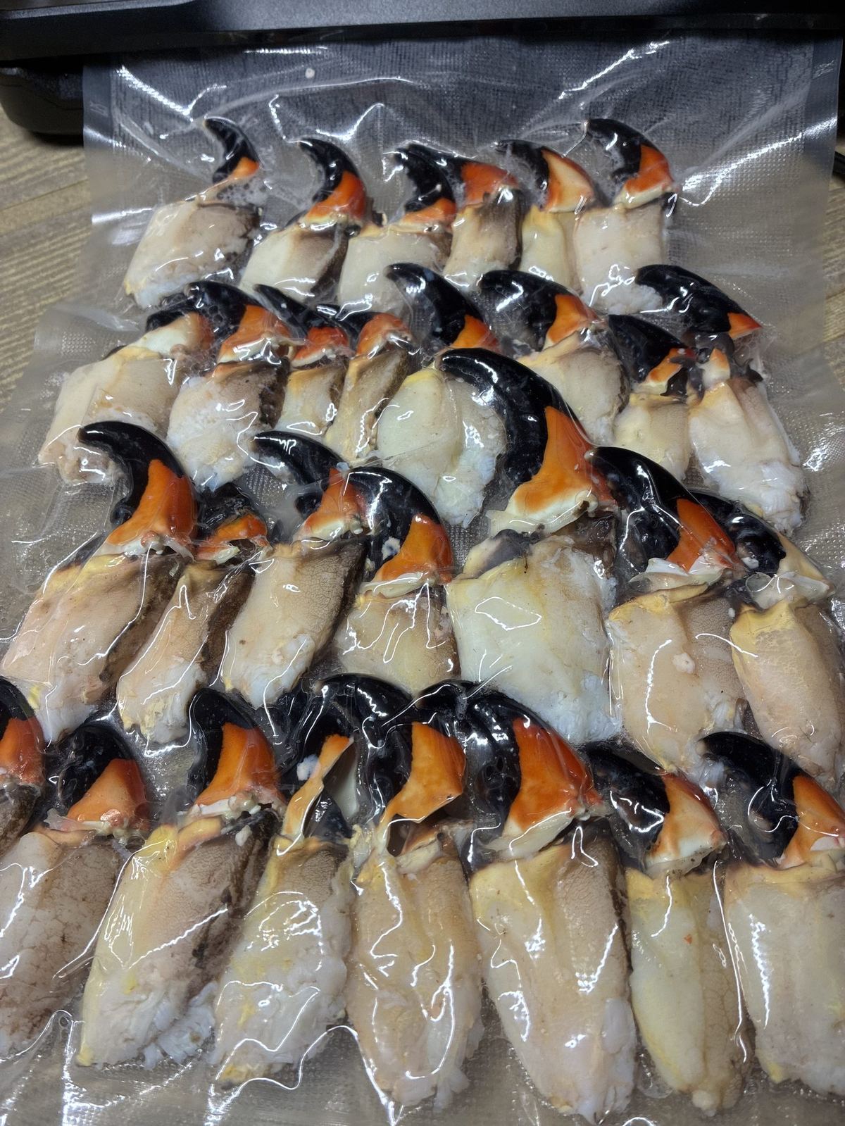 Stone crab claws, cleaned and packed
