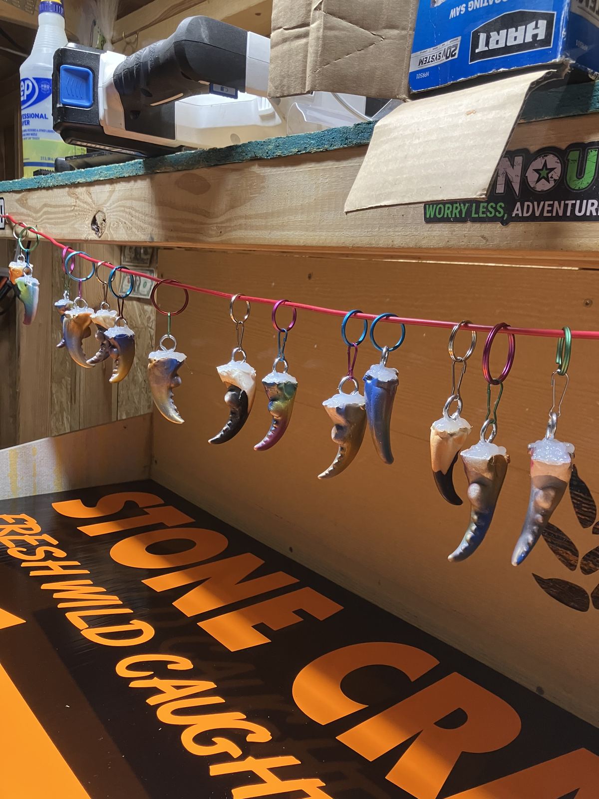 Keychains made from painted stone crab claws